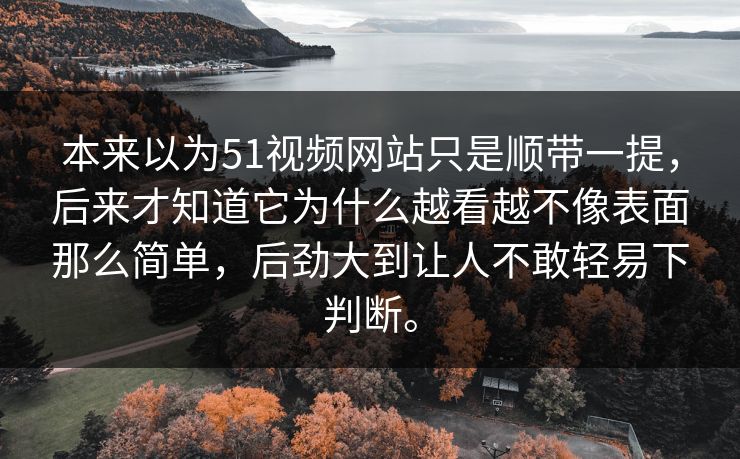 本来以为51视频网站只是顺带一提，后来才知道它为什么越看越不像表面那么简单，后劲大到让人不敢轻易下判断。