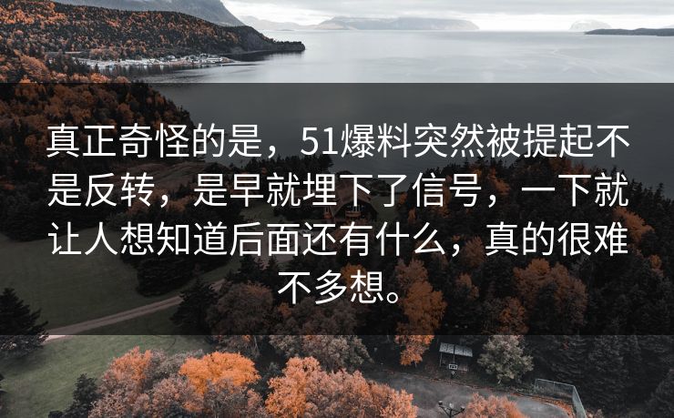 真正奇怪的是，51爆料突然被提起不是反转，是早就埋下了信号，一下就让人想知道后面还有什么，真的很难不多想。