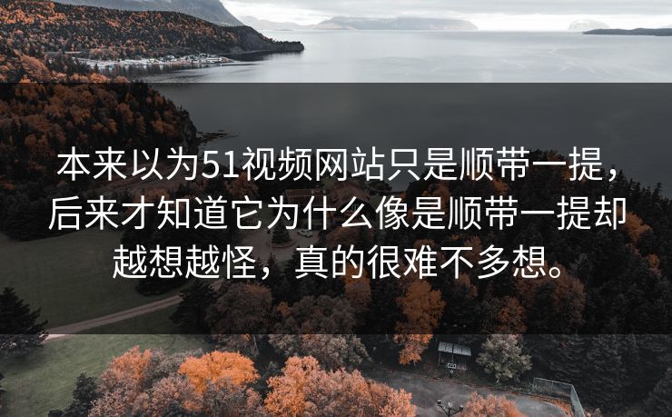 本来以为51视频网站只是顺带一提，后来才知道它为什么像是顺带一提却越想越怪，真的很难不多想。