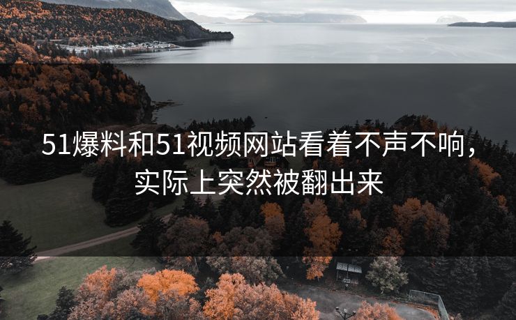 51爆料和51视频网站看着不声不响，实际上突然被翻出来