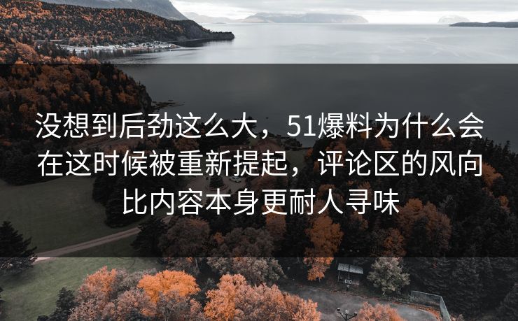 没想到后劲这么大，51爆料为什么会在这时候被重新提起，评论区的风向比内容本身更耐人寻味